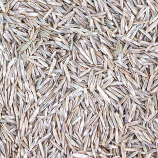 Prémium pázsit fűmagkeverék